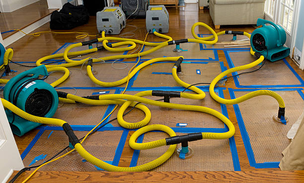 Professional Water Damage Repair technician working in Lincoln, CA